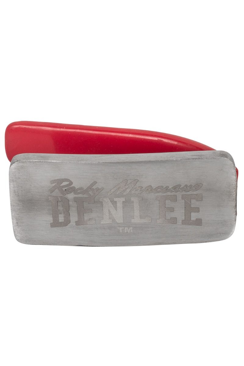 Ben Lee No Swell Cooling Face Iron