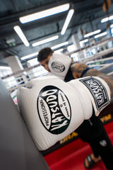 Katsudo Boxing Gloves Professional, White
