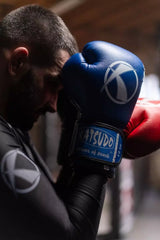 Katsudo Boxing Gloves Punch II, Blue
