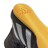 Adidas boxing shoes HOG 4, black-gold