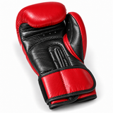 Katsudo Boxing Gloves Champion IV, Red