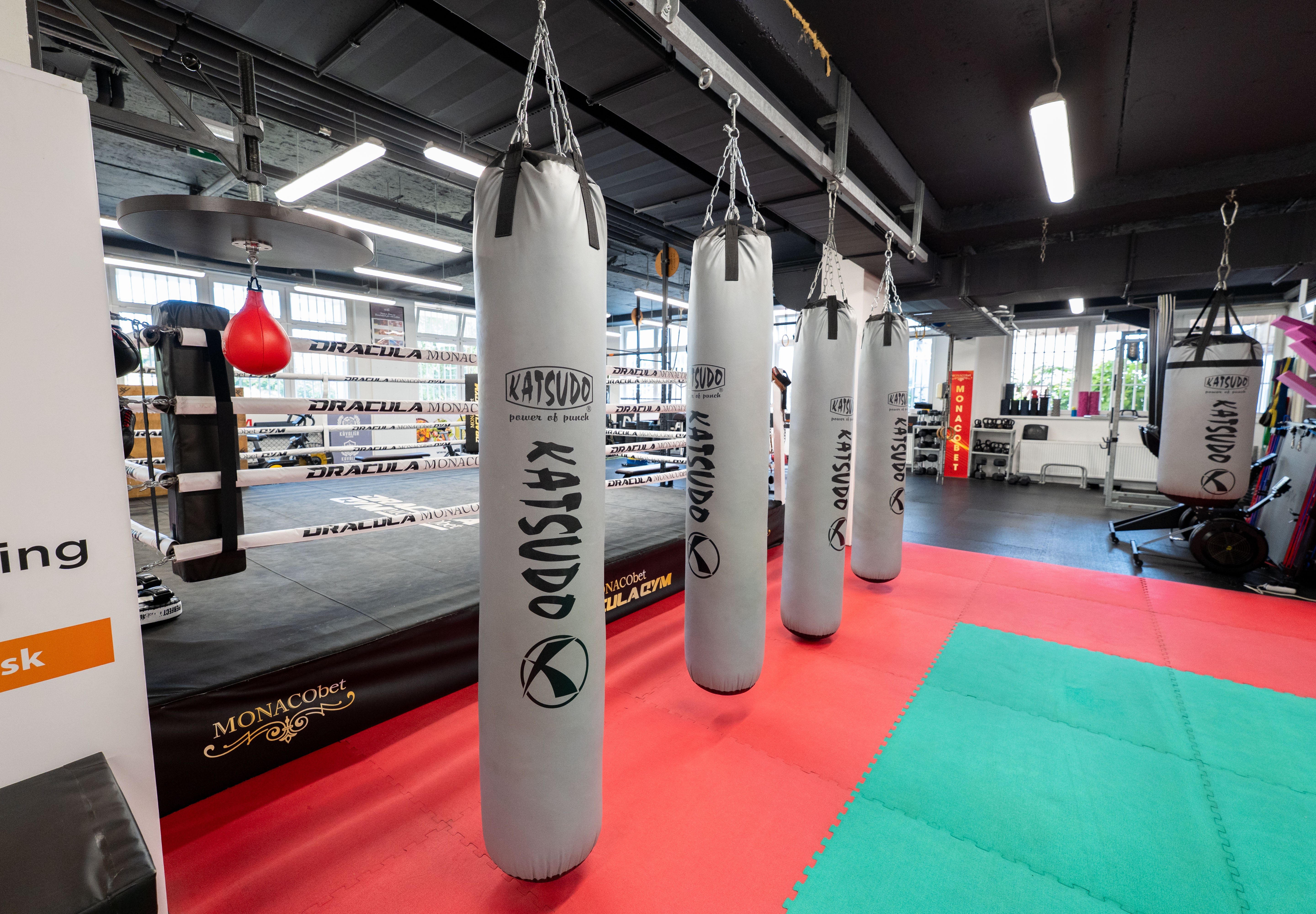 Katsudo Plastic Boxing Bag Texa, Gray