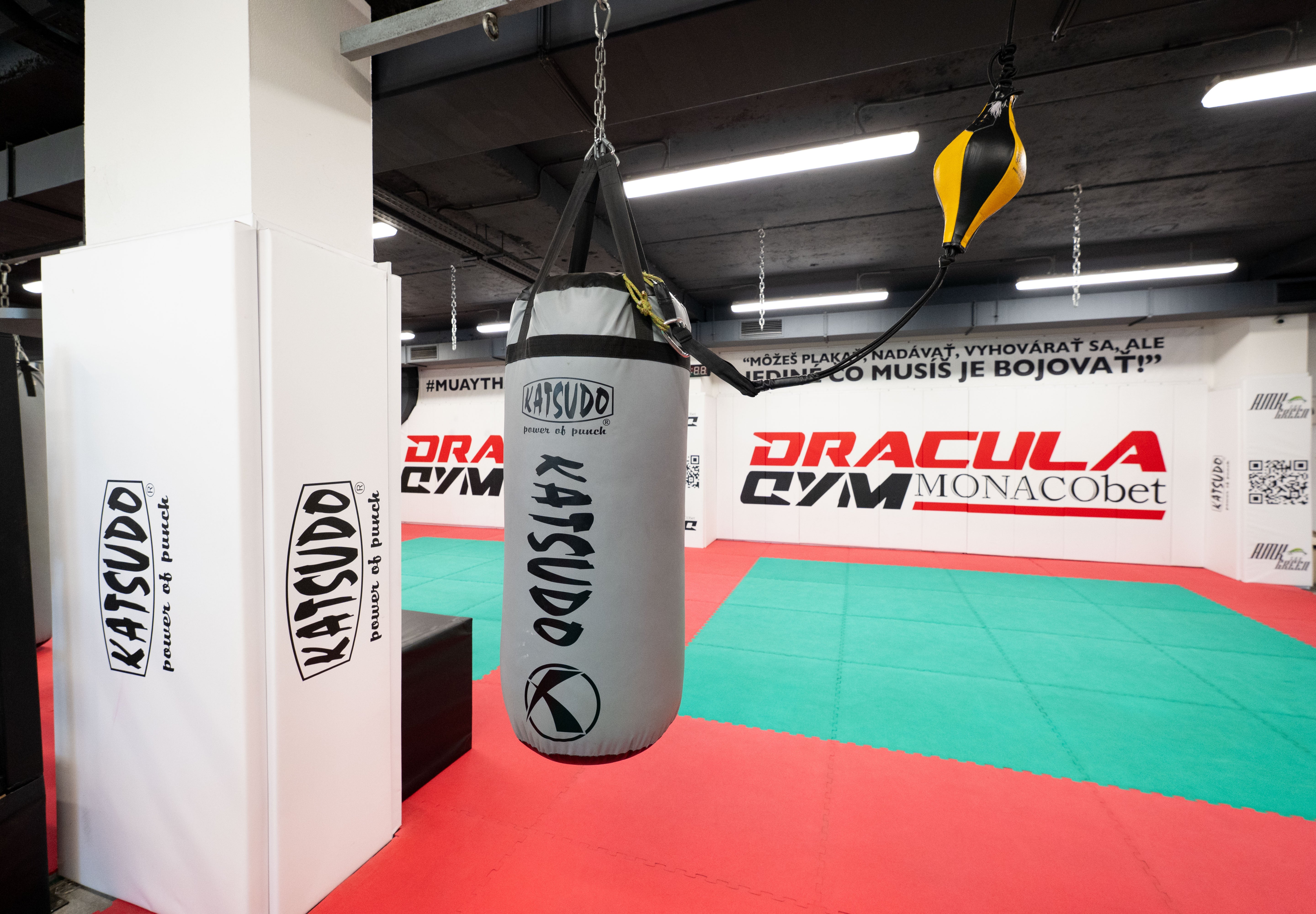Katsudo Punching Bag Big Boy Pro Boxing, Gray