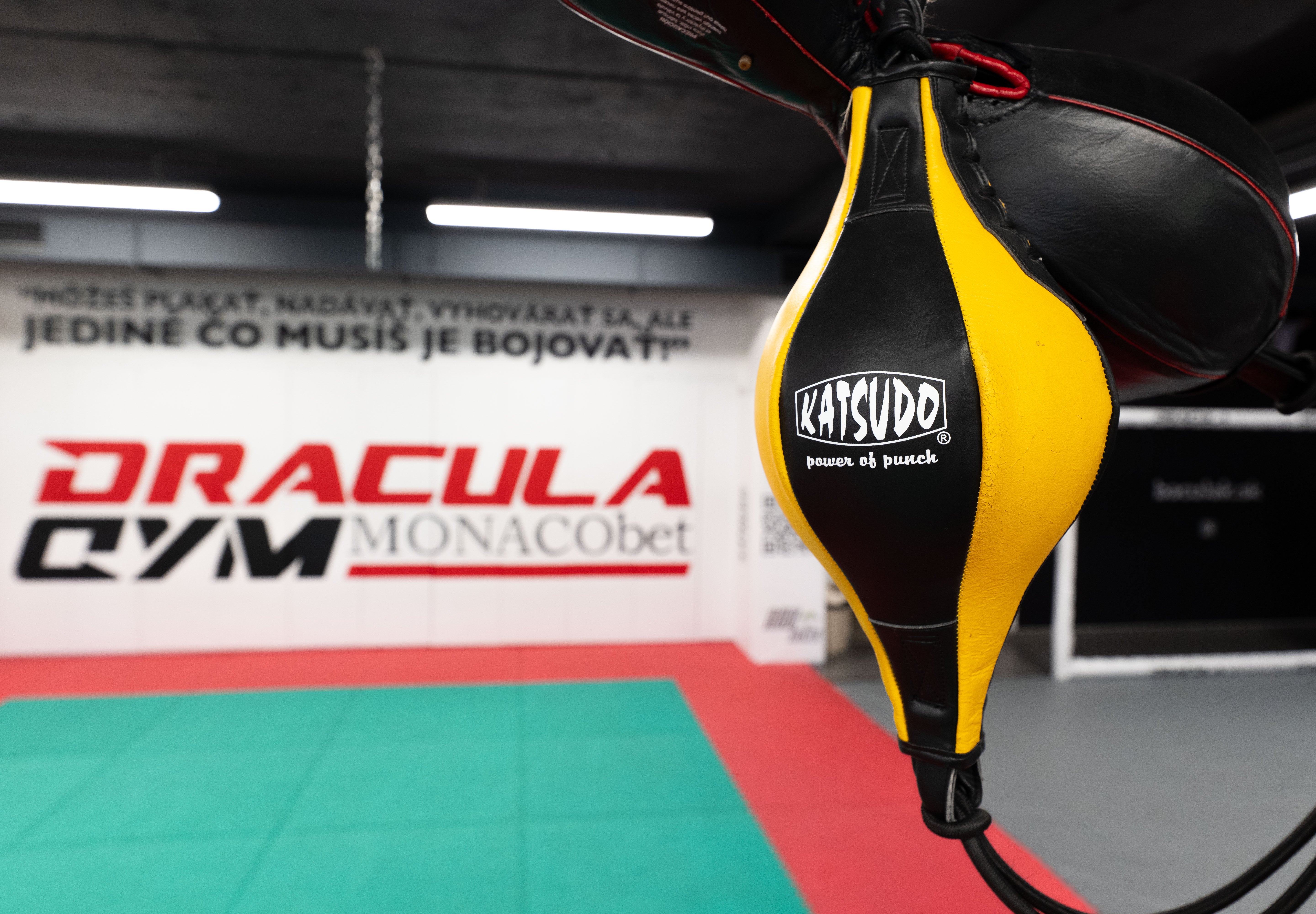 Katsudo Thai Punching Ball