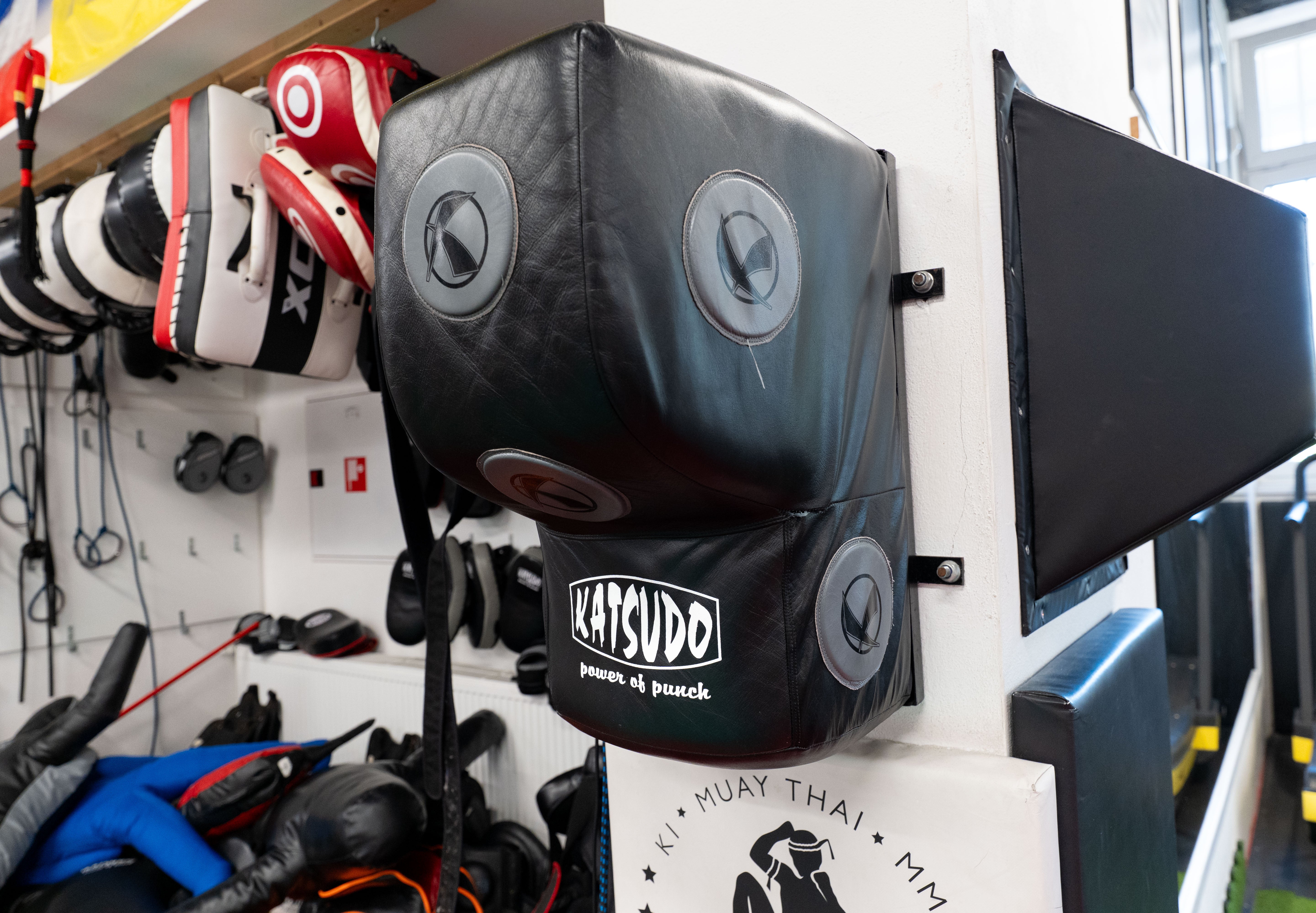 Katsudo Pacton Wall-Mounted Faux Leather Punching Pad, Black