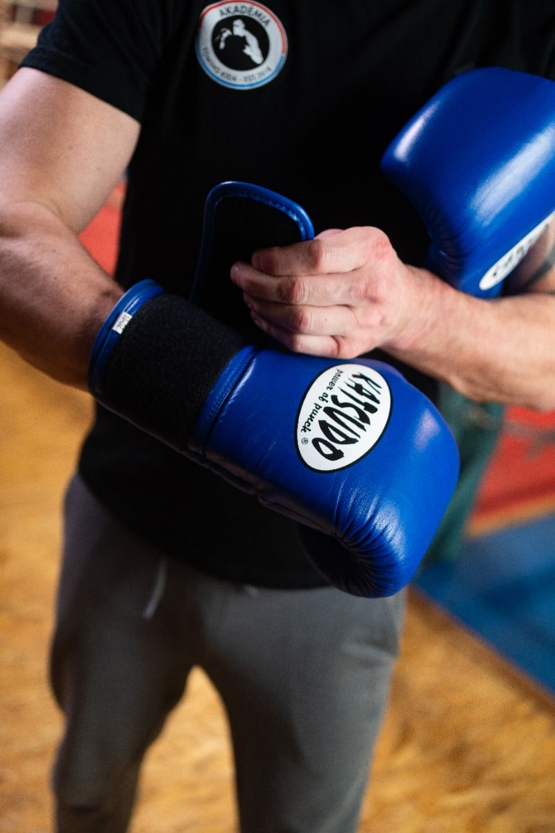 Katsudo Hawk boxing gloves, blue