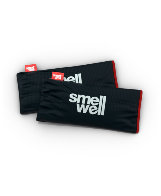SmellWell Active XL Multi-Purpose Deodorizer Black Stone
