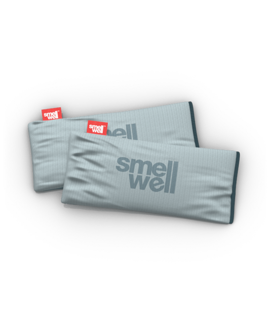 SmellWell Active XL Multi-Purpose Deodorizer Silver Grey