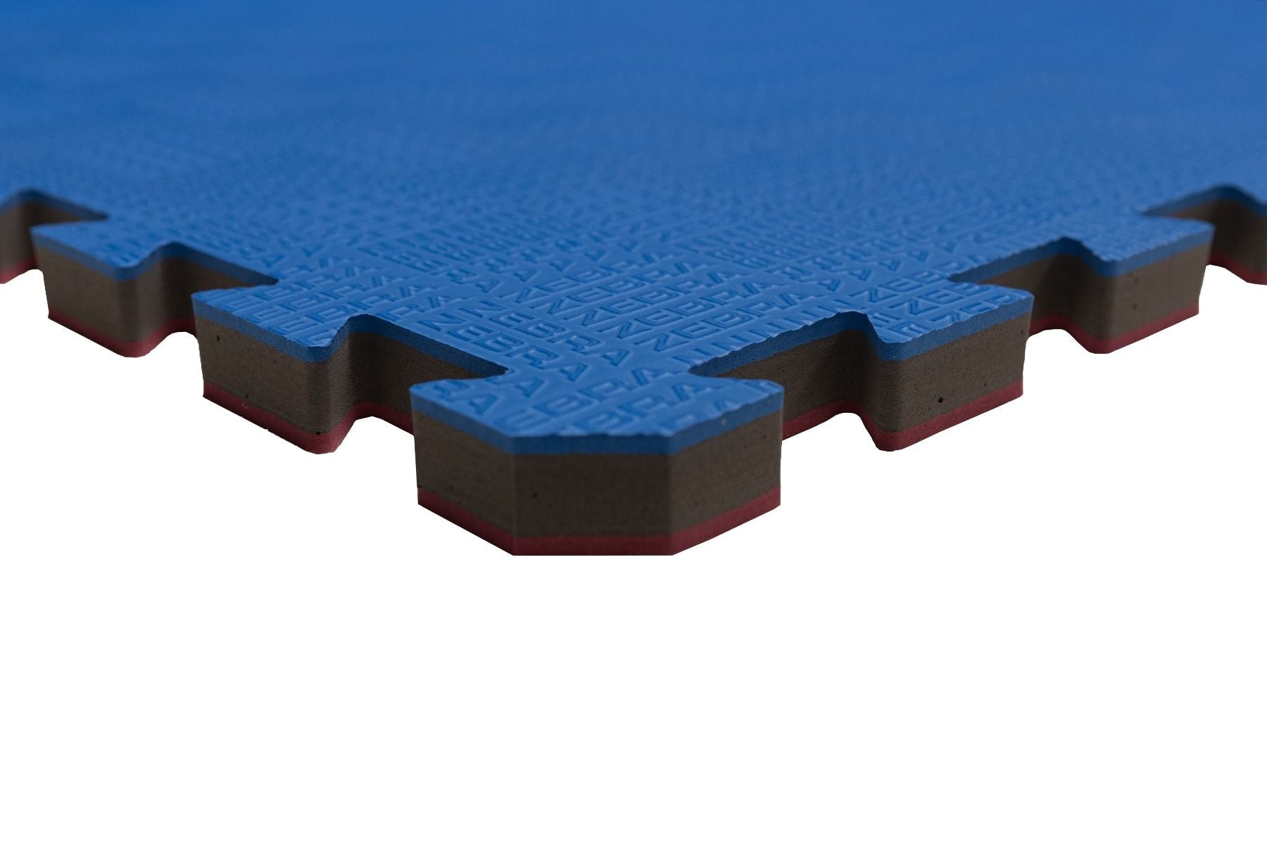 Zebra Tatami Puzzle, Red-Blue